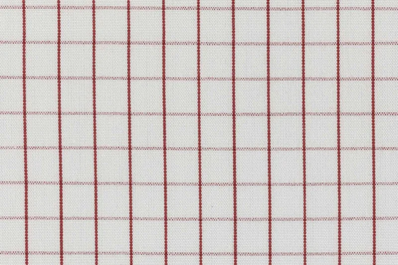 Street Red Windowpane Check Shirting